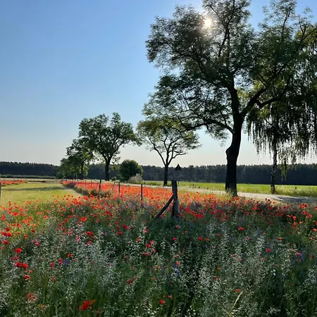 Apartamento Hof Zum Alten Birnbaum
