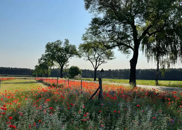 Apartamento Hof Zum Alten Birnbaum