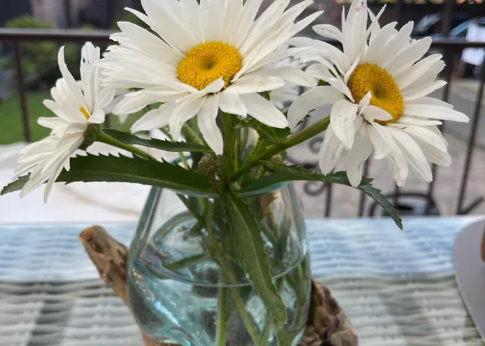 Hof Zum Alten Birnbaum Friedland (Brandenburg)